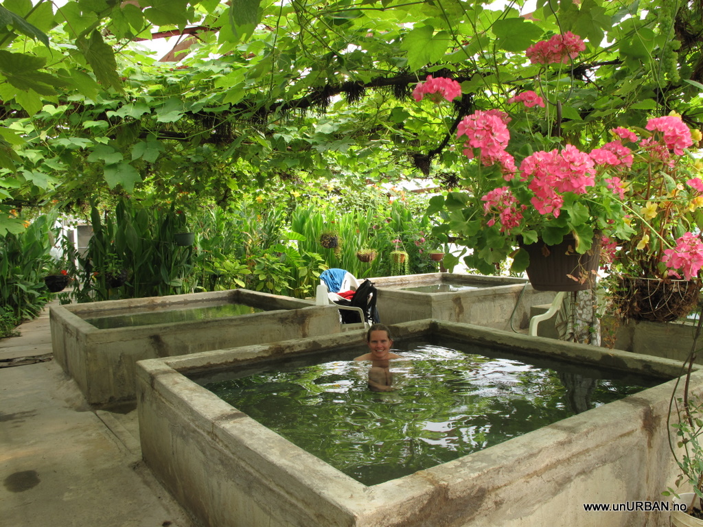 Manley Hot Springs